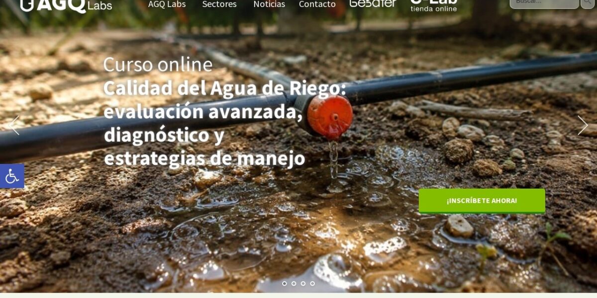 AGQ Labs — Múltiples Sitios WordPress Internacionales por País e Idioma — captura del proyecto
